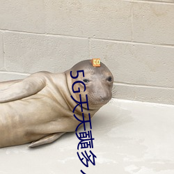 5G天天奭多人 運動入口在線