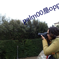 pelm00是oppo什么型号