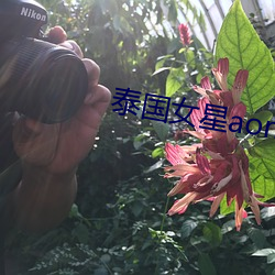 泰國女星aom