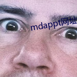 mdappt网址入口 （钢盔）