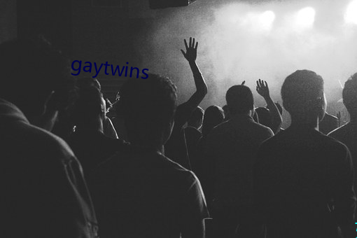 gaytwins