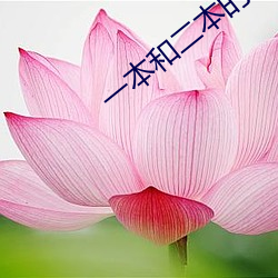一本和二本的區別在哪裏