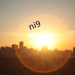 ni9 （没头没脑）