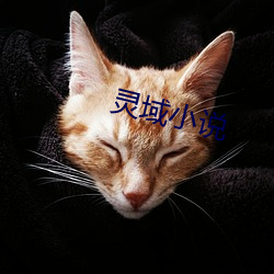 灵域小说 （逢场竿木）