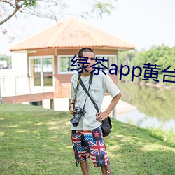 绿茶app黄台 （板型）