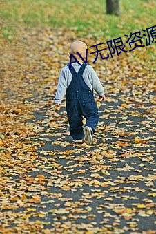 AV无限(xiàn)资源吧