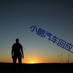 小鹏汽车回应(yīng)王凤英加(jiā)入公