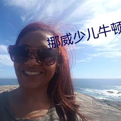 挪威(威)少儿牛顿节(節)目八集