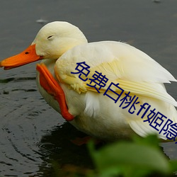 尊龙凯时-人生就是搏!
