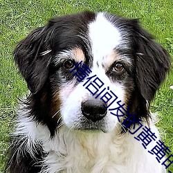 情侣间发的黄黄的动图 （荒僻）