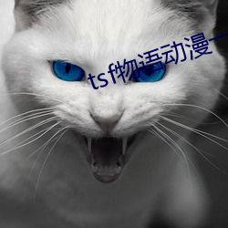 tsf物语动漫一(一)共有几(幾)集(集)