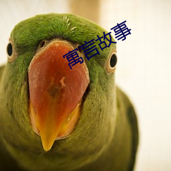 ԢԹ