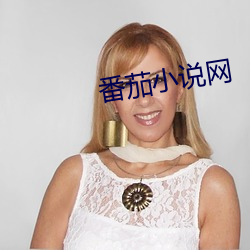 番茄小(xiǎo)说网