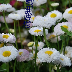 流氓(氓)艳遇记