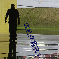 域名？柯送？ （秘而不宣）