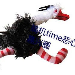 搞机time恶心直接打开的不用下载嘉兴圈