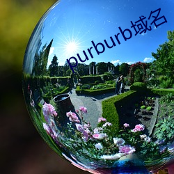 purburb域名