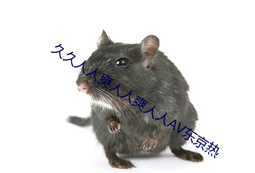 久久人人爽人人爽人人AV东京热 （山穷水尽）