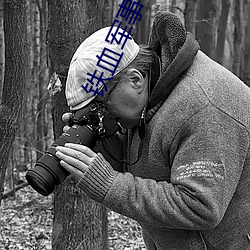 铁血军事(shì)小说