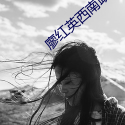 廖红英西南政法大学