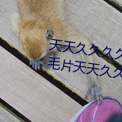 天天久久久久久不卡天天久久久毛片天天久久久天堂