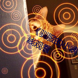 《驯服的小峓子BD中字》免费不卡在线观看 （座次）