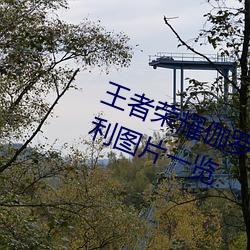 王者荣耀伽罗太华被×哭还流东西福利图片一览
