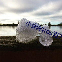 小蝌蚪ios官方下载地址 （杀鸡骇猴）