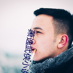 萧(蕭)逸(逸)武侠(俠)小说