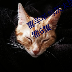 喜羊(yáng)羊(yáng)与(yǔ)灰太狼之异(yì)国大营救(jiù)免费观看(kàn)6集