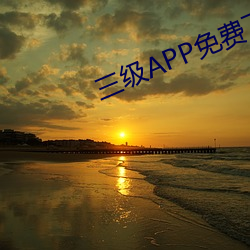 三级(jí)APP免费下(xià)载