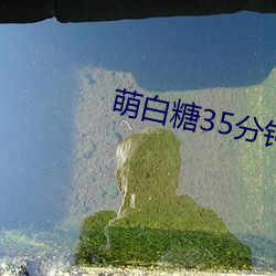 萌(méng)白糖35分钟(zhōng)喷四次v1.0.2