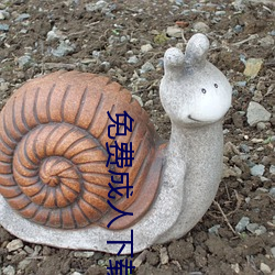 免費成人下載
