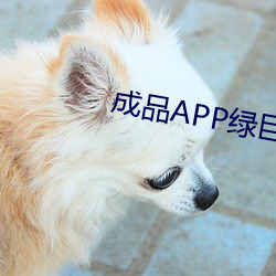 成品APP绿巨人 （汙七八糟）