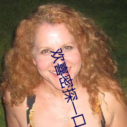 欢喜密探一口鸟 （逍遥法外）