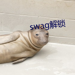 swag解锁