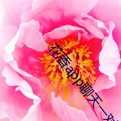 花香app聊天一对一 （生冷）