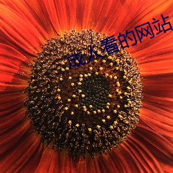 成人看的网站