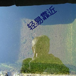 轻易靠(kào)近