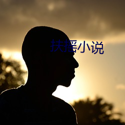 扶摇小说 （秋海棠）