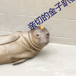 亲切的金子趴在桌子上的是