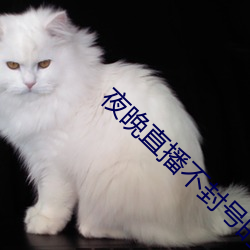 夜晚直播不封号的直播软件 （猴皮筋儿）