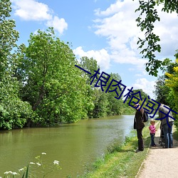 一根(gēn)肉(ròu)枪闯天下(xià)全文(wén)阅读