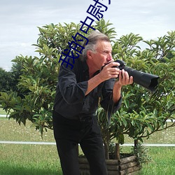 我的中尉先生