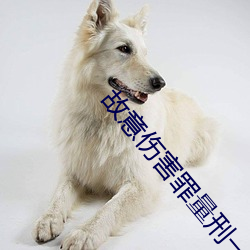 故意(yì)伤害(hài)罪量(liàng)刑一览表
