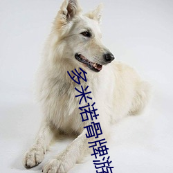 多米诺骨牌游戏规则幼儿园逻辑狗 （粗株大叶）