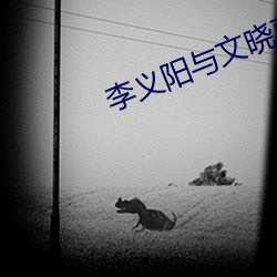 李義陽與文曉惠免費閱讀