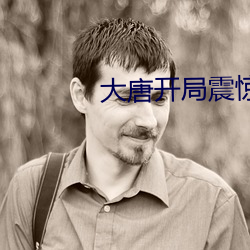 大唐開局震驚了李世民