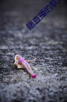 赌直(直)播的软(軟)件