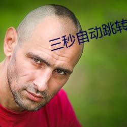 三秒(miǎo)自(zì)动(dòng)跳转